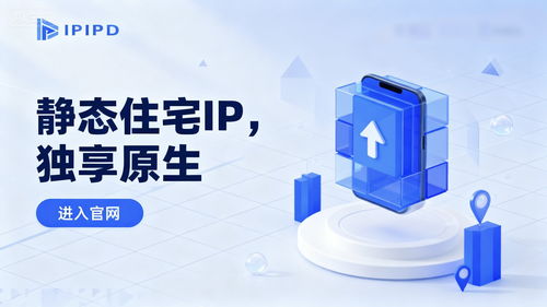 靜態(tài)住宅IP 跨境電商的隱形引擎——深度測評與實際應(yīng)用效果分析