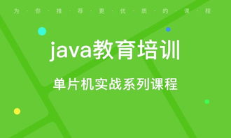 石家莊軟件開發培訓 學校選擇與網絡技術服務趨勢解析